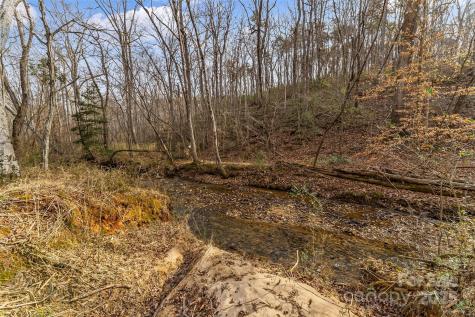 173 & 207 Deer Creek Trail Statesville NC 28677
