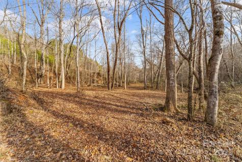 173 & 207 Deer Creek Trail Statesville NC 28677