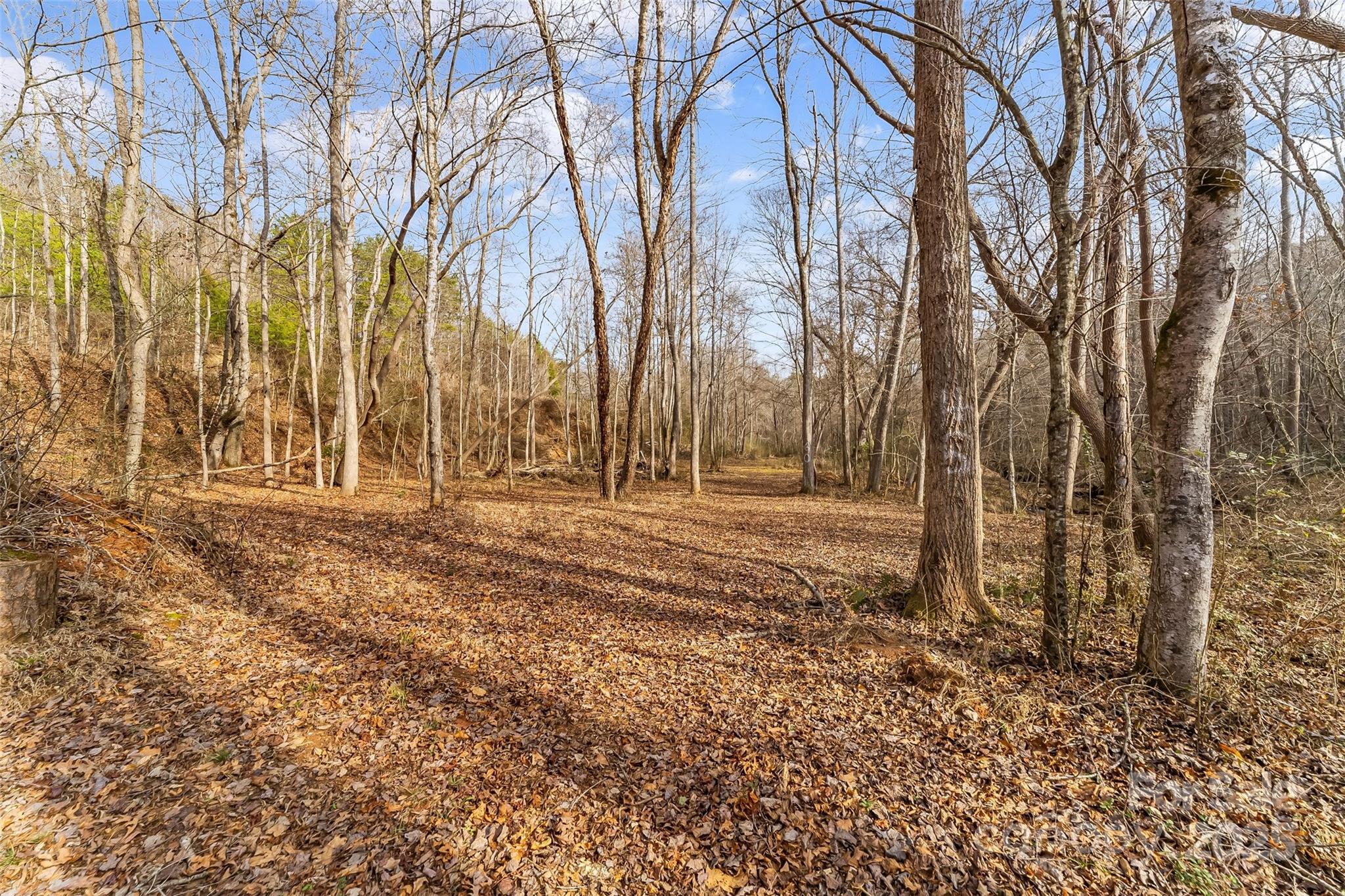 173 & 207 Deer Creek Trail Statesville NC 28677
