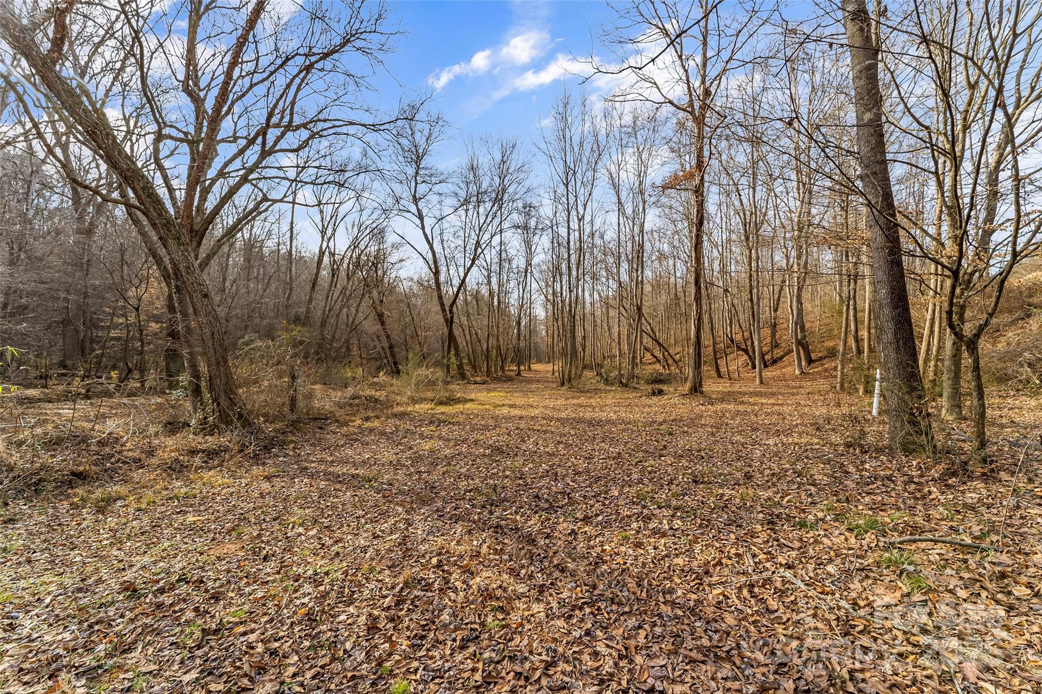 173 & 207 Deer Creek Trail Statesville NC 28677