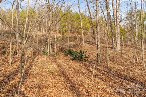 173 & 207 Deer Creek Trail Statesville NC 28677