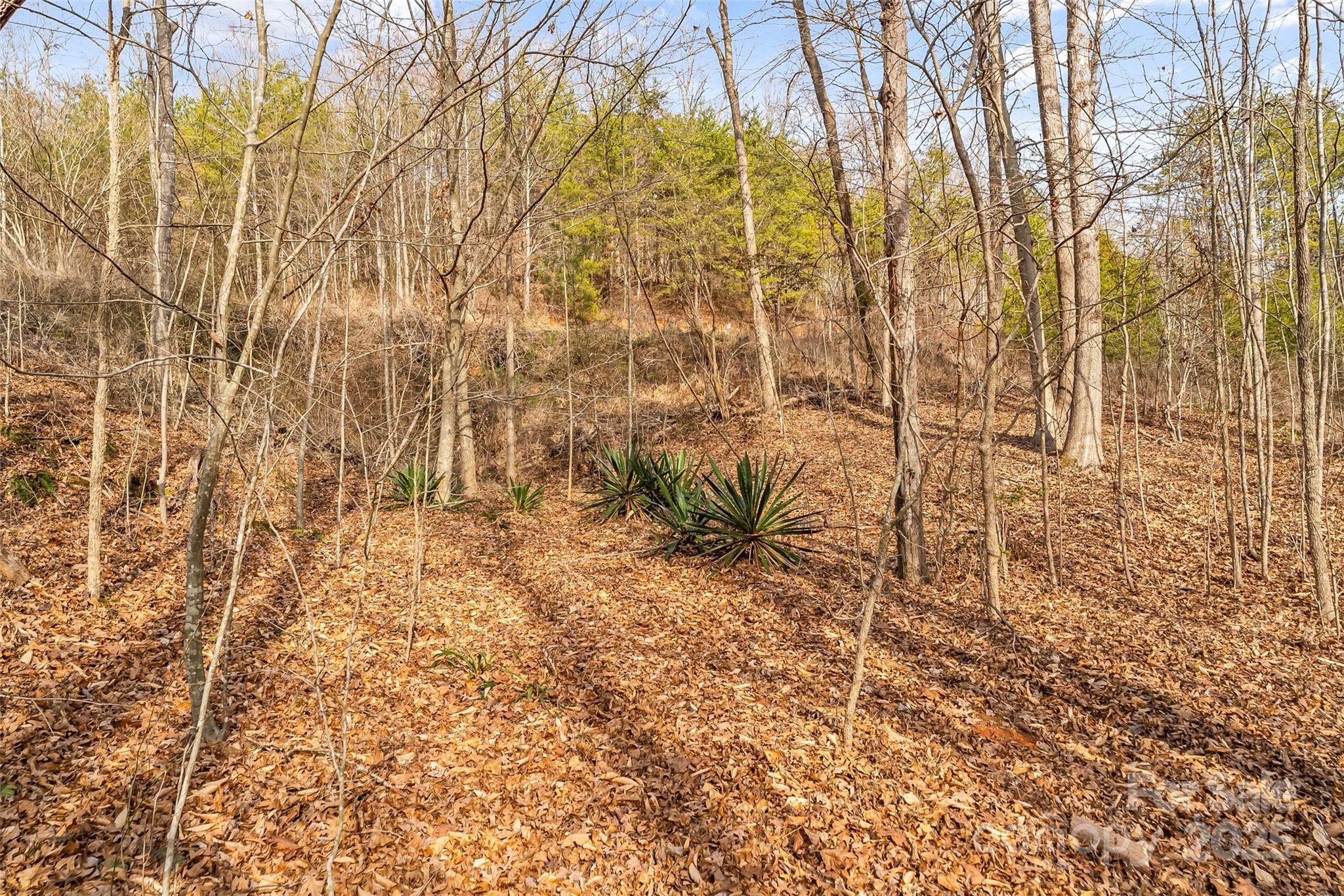 173 & 207 Deer Creek Trail Statesville NC 28677
