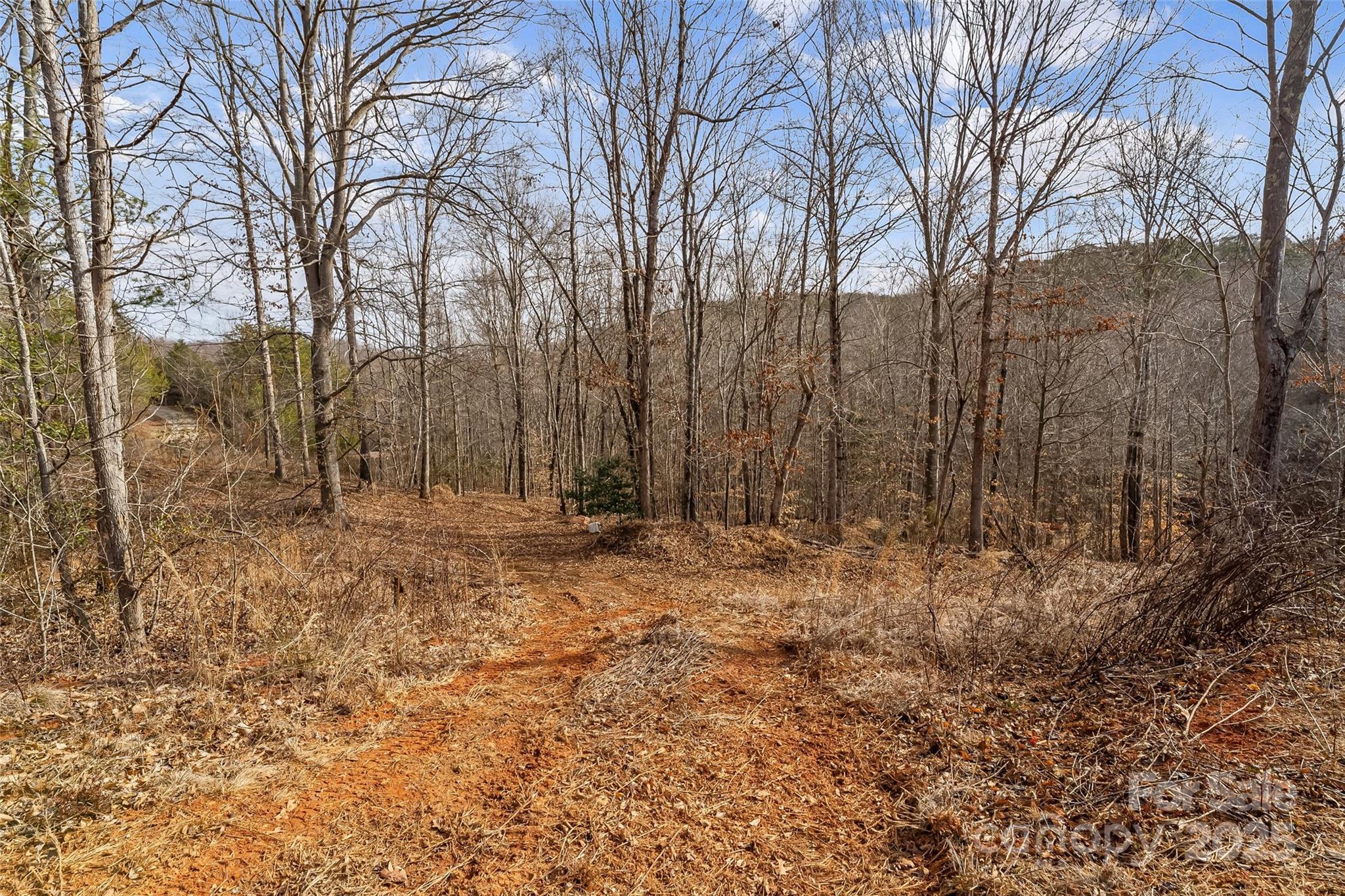 173 & 207 Deer Creek Trail Statesville NC 28677