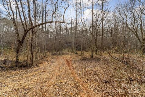 173 & 207 Deer Creek Trail Statesville NC 28677