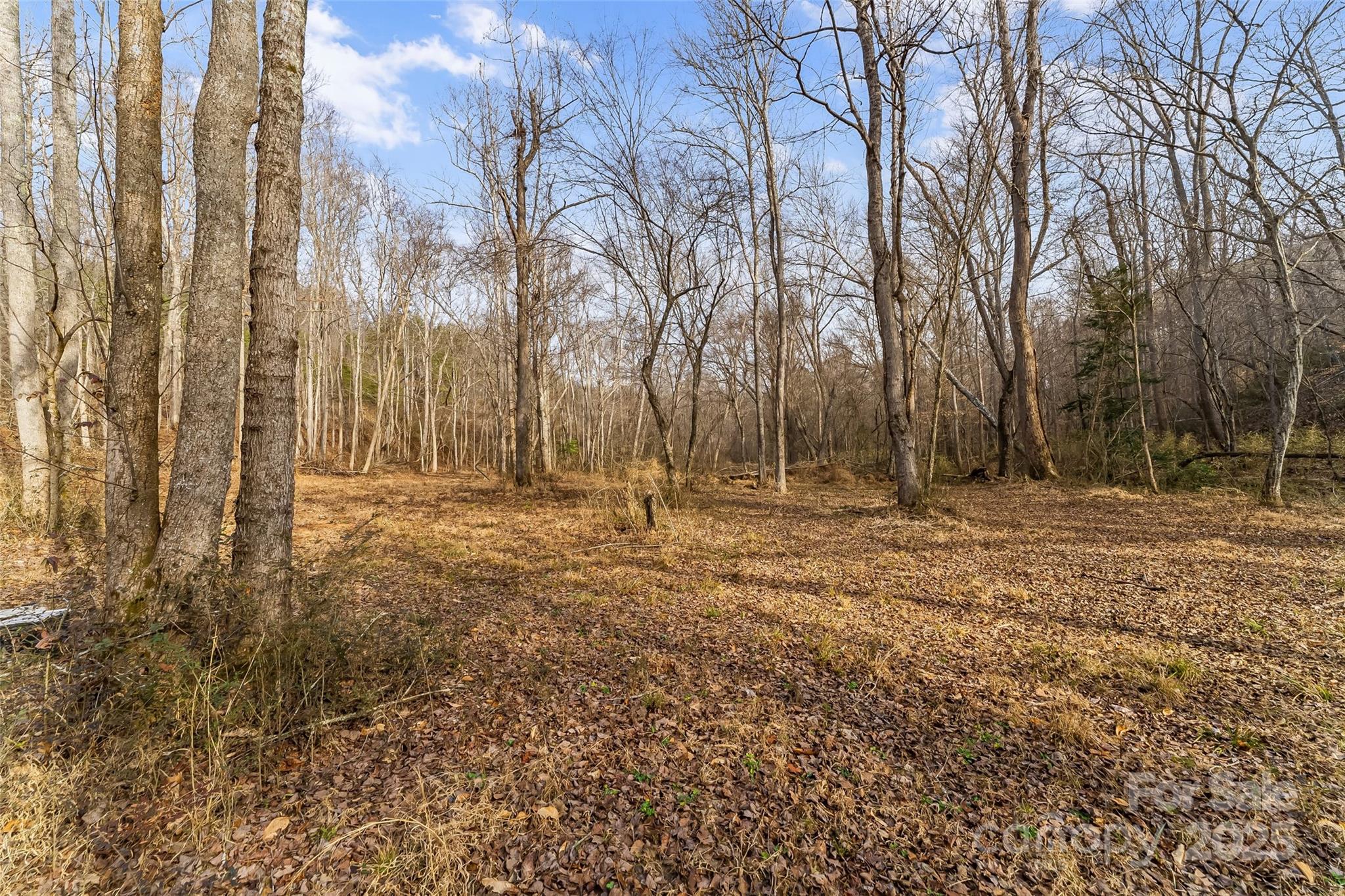 173 & 207 Deer Creek Trail Statesville NC 28677