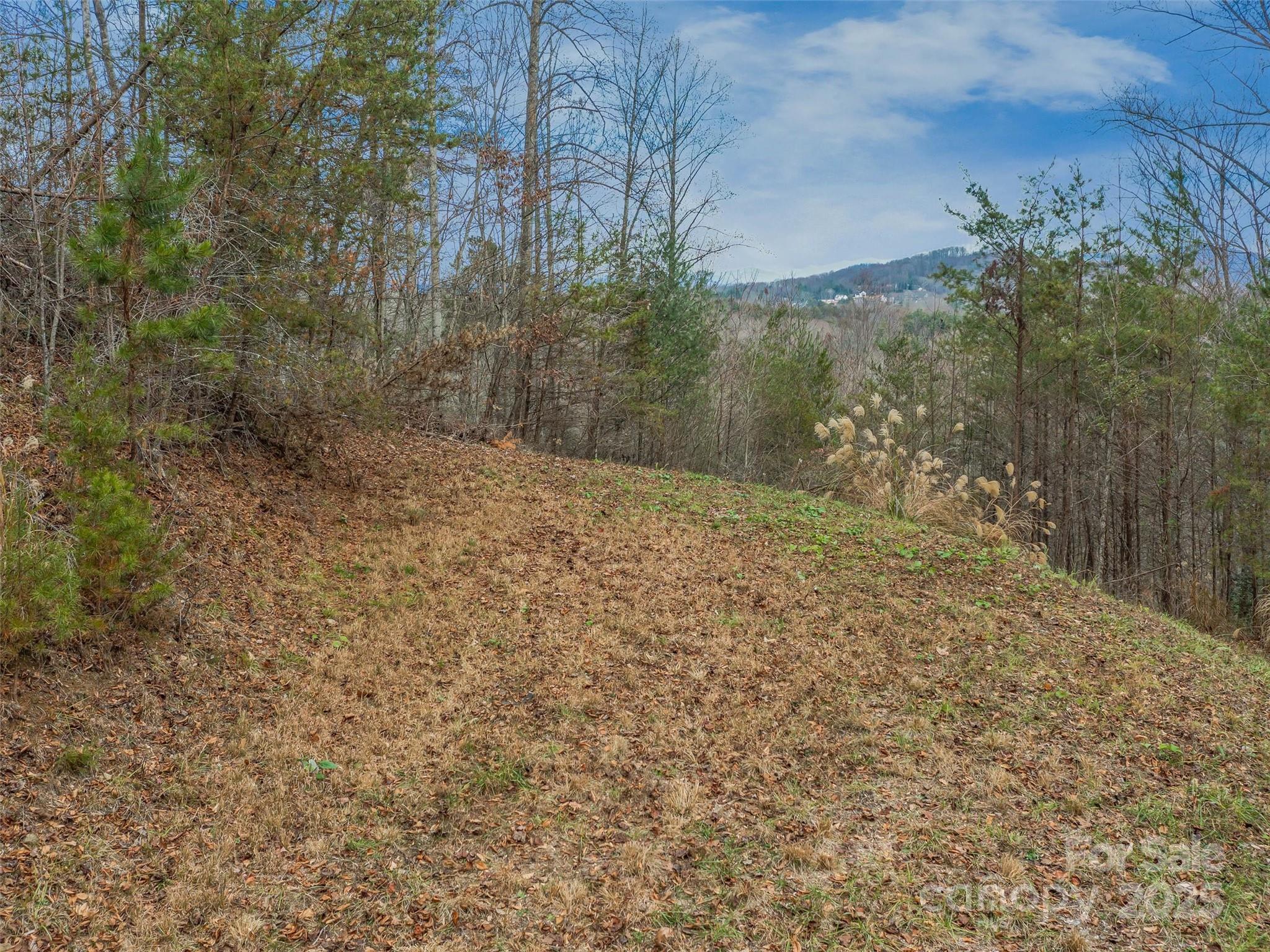 25 Autumn Shade Court Arden NC 28704