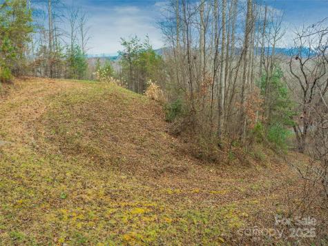 25 Autumn Shade Court Arden NC 28704