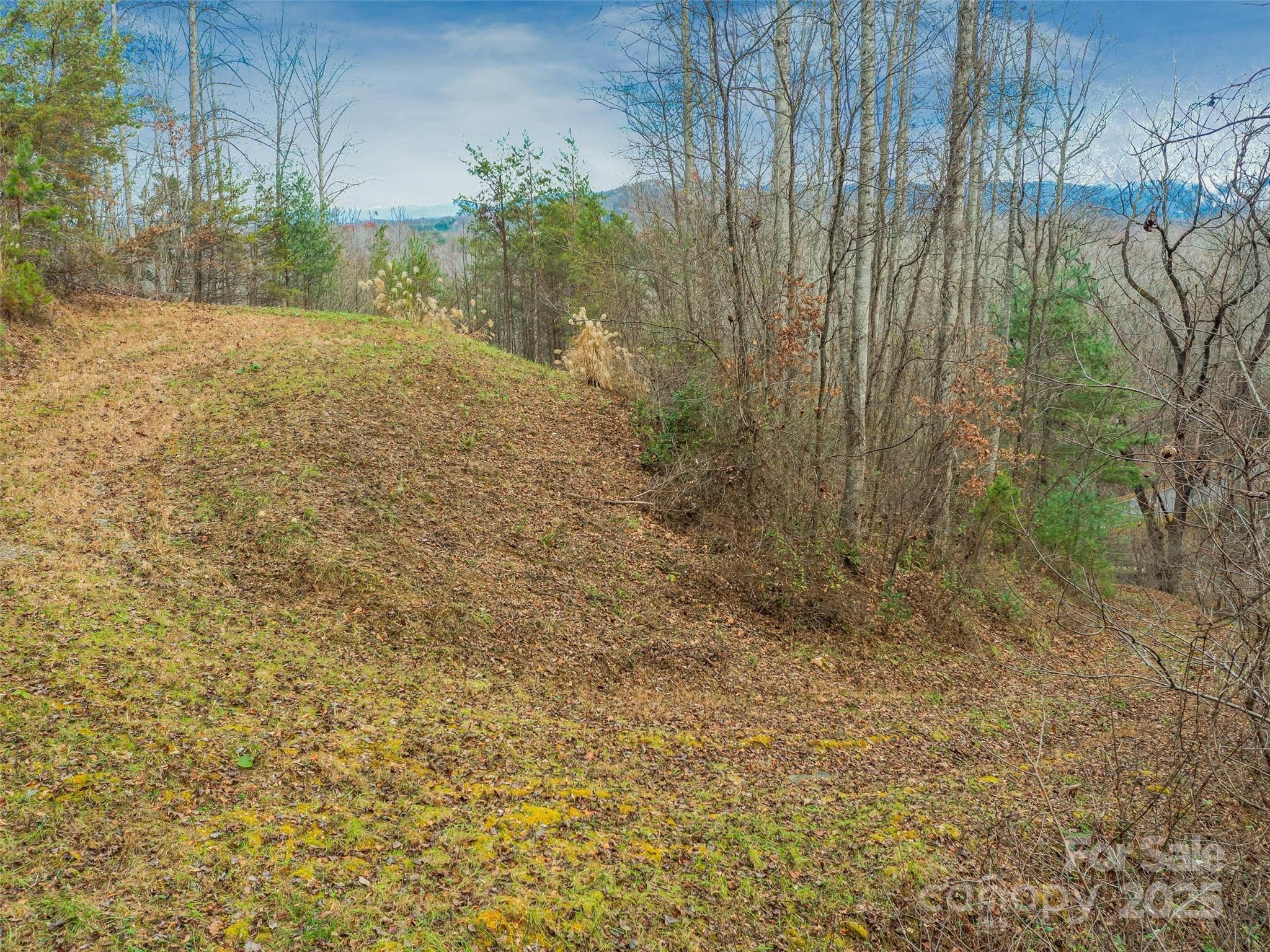 25 Autumn Shade Court Arden NC 28704