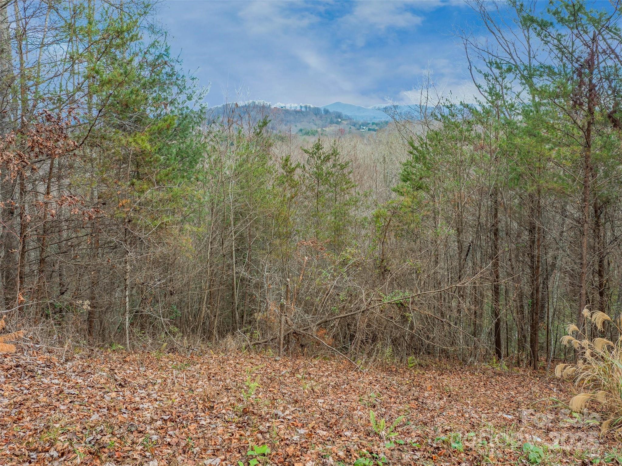 25 Autumn Shade Court Arden NC 28704