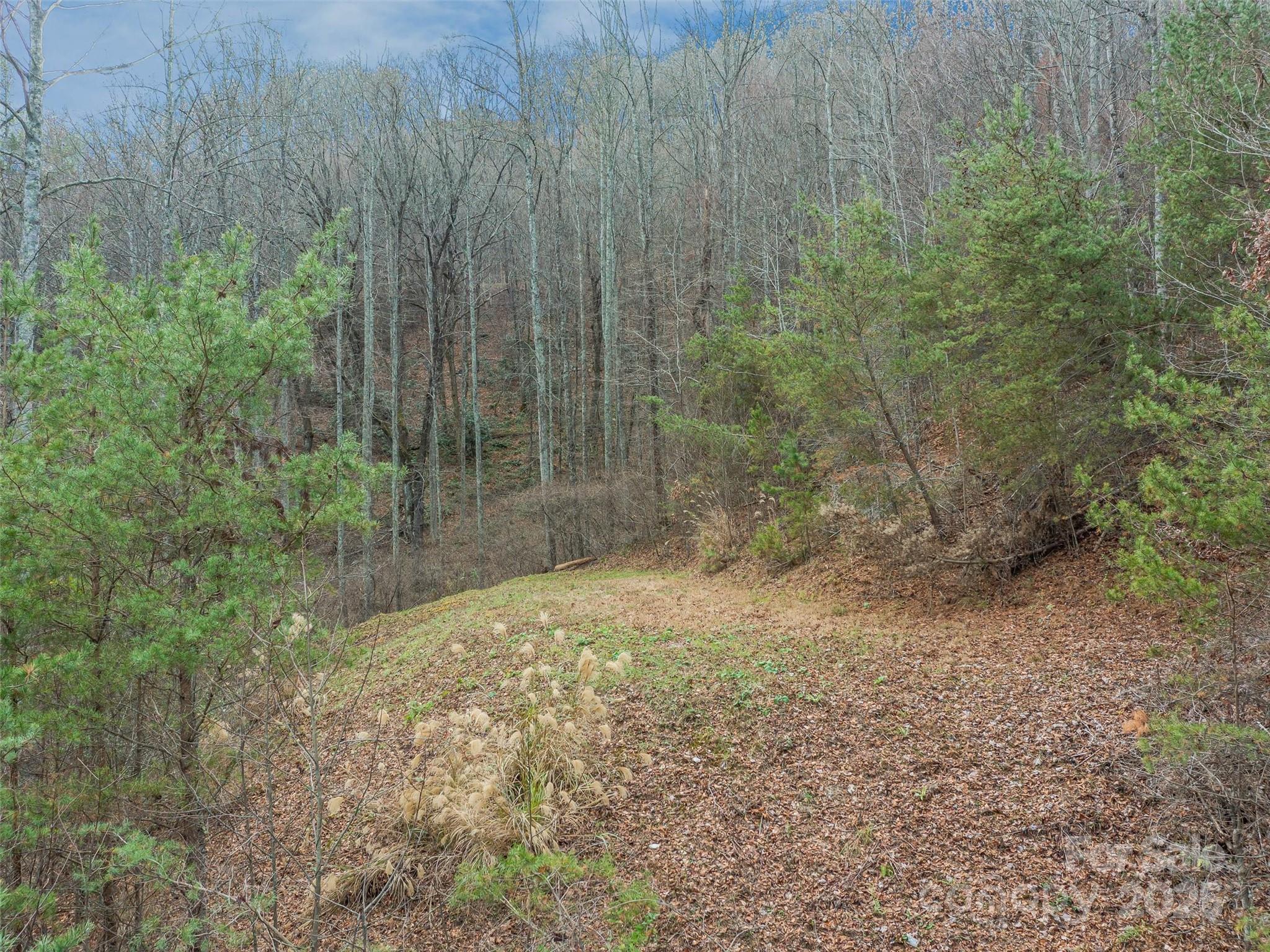25 Autumn Shade Court Arden NC 28704