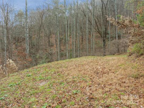 25 Autumn Shade Court Arden NC 28704