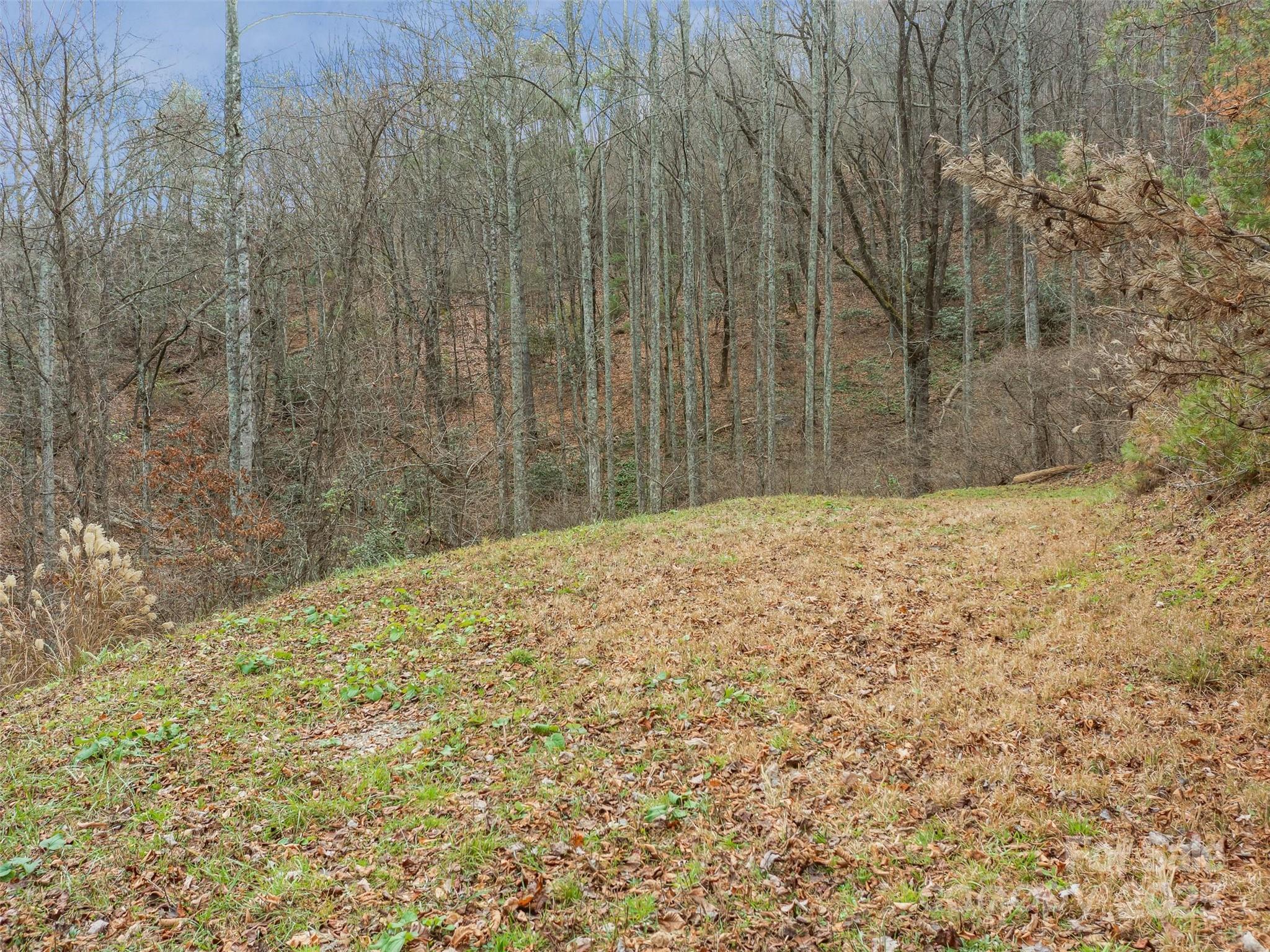 25 Autumn Shade Court Arden NC 28704