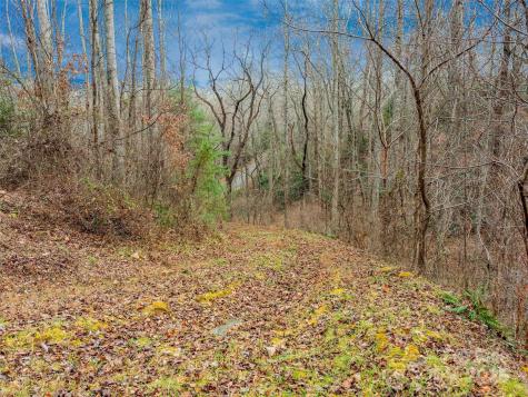 25 Autumn Shade Court Arden NC 28704