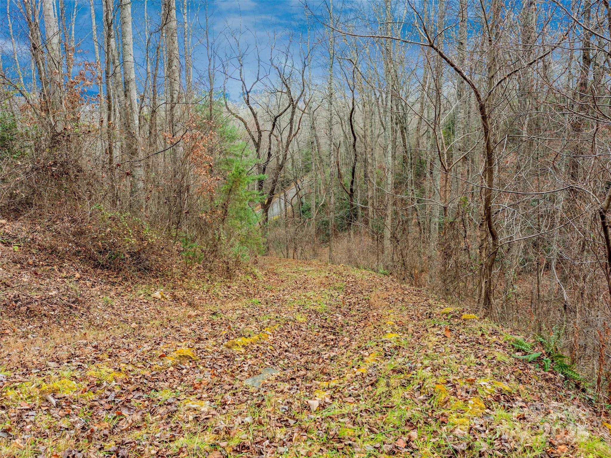 25 Autumn Shade Court Arden NC 28704