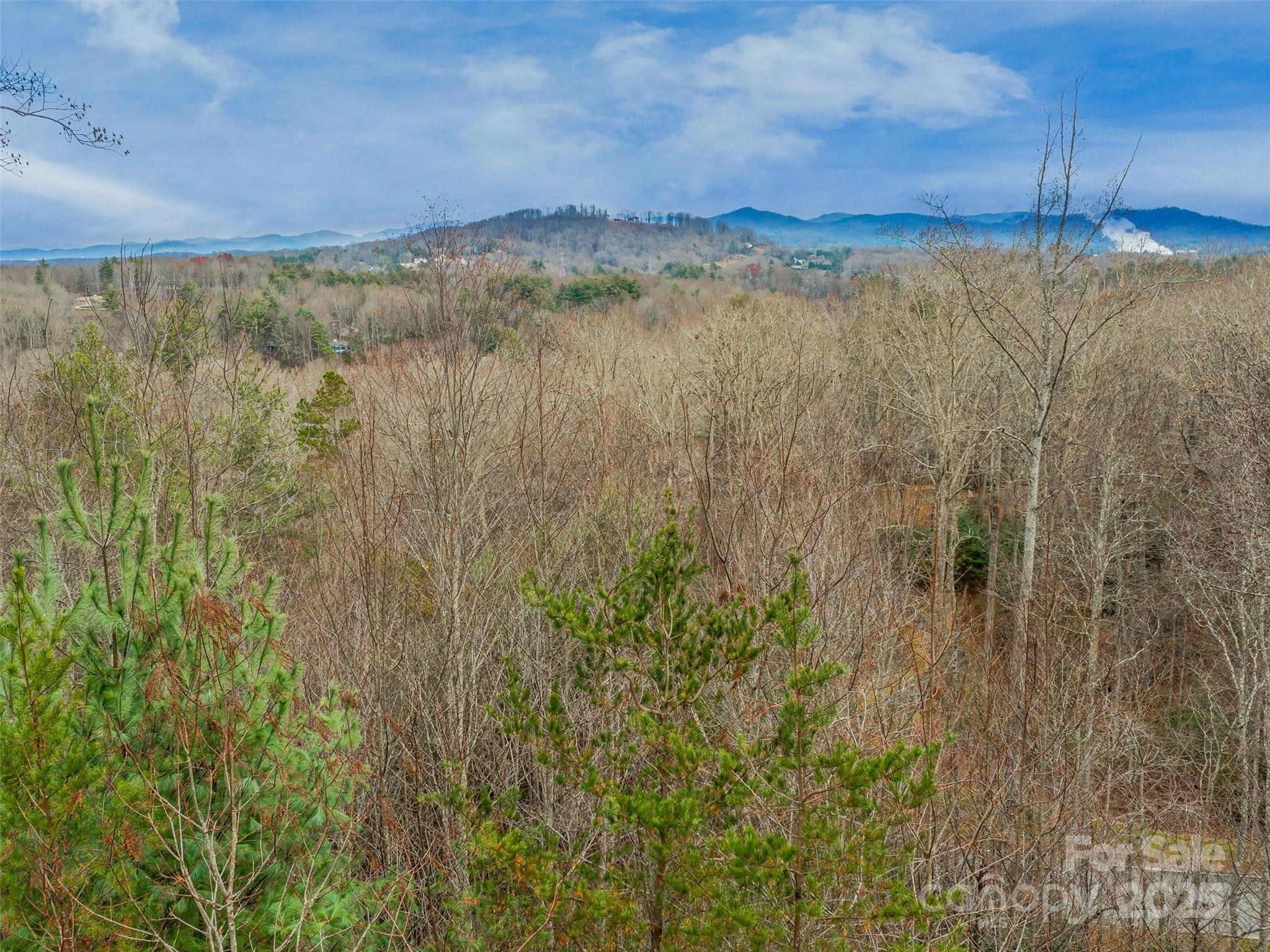 25 Autumn Shade Court Arden NC 28704