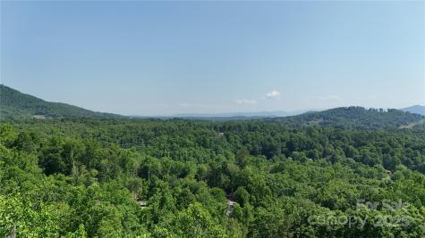 25 Autumn Shade Court Arden NC 28704