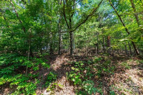 99999 Flynn Branch Road Asheville NC 28804