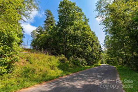 99999 Flynn Branch Road Asheville NC 28804