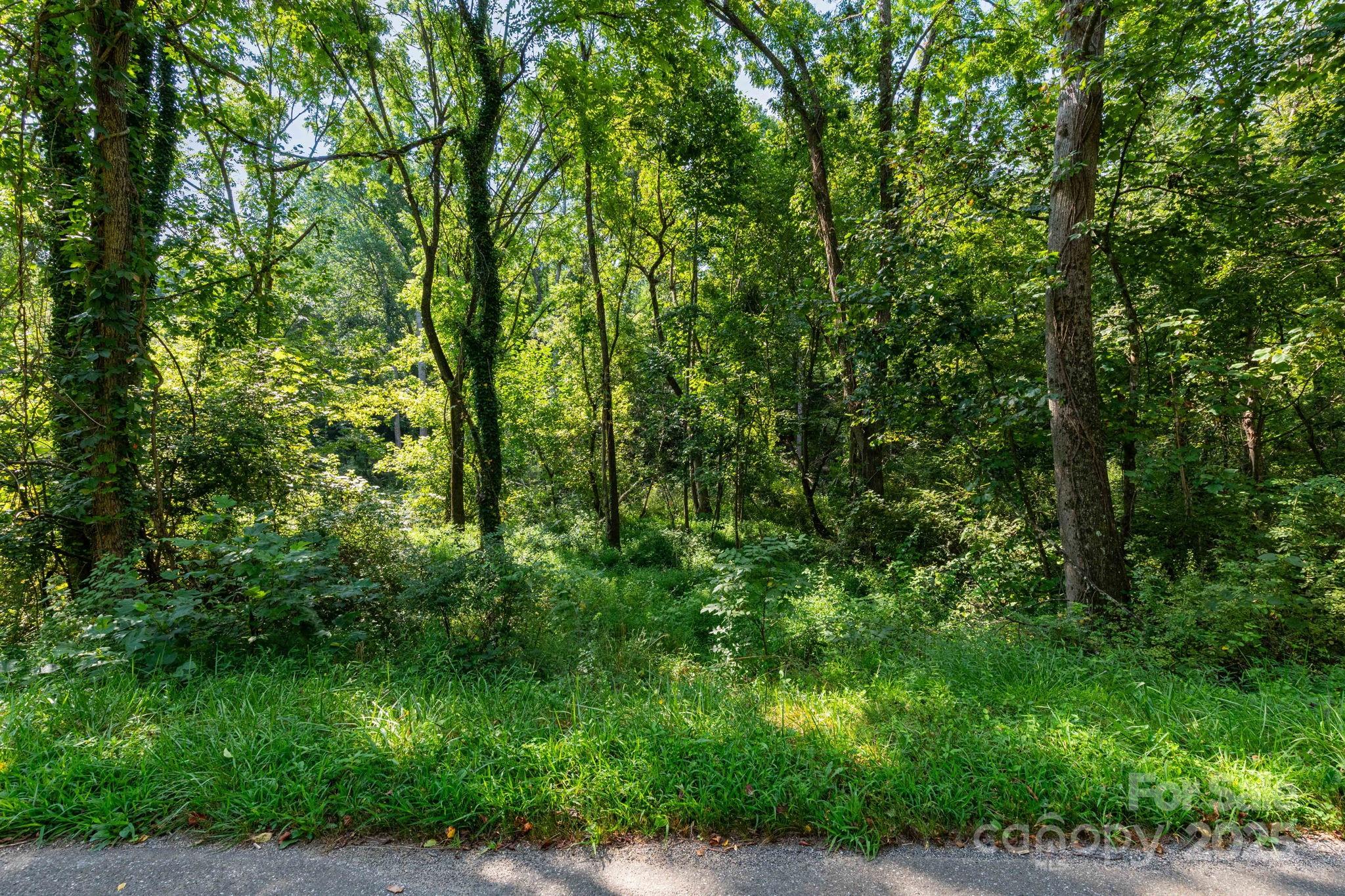 99999 Flynn Branch Road Asheville NC 28804