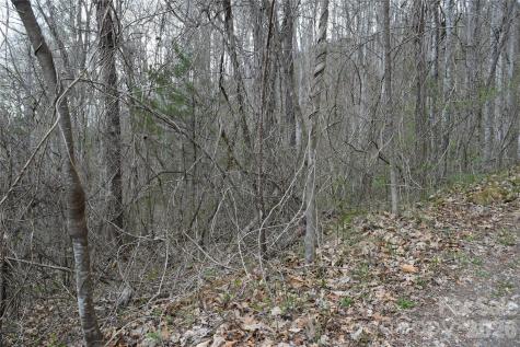 Tbd Bel Air Road Cullowhee NC 28723