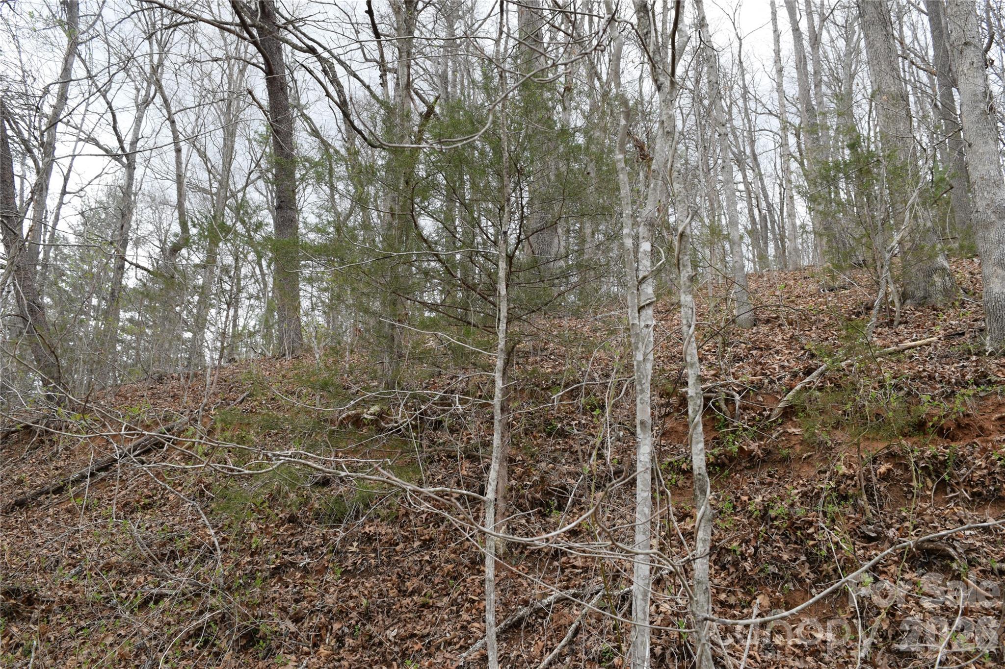Tbd Bel Air Road Cullowhee NC 28723