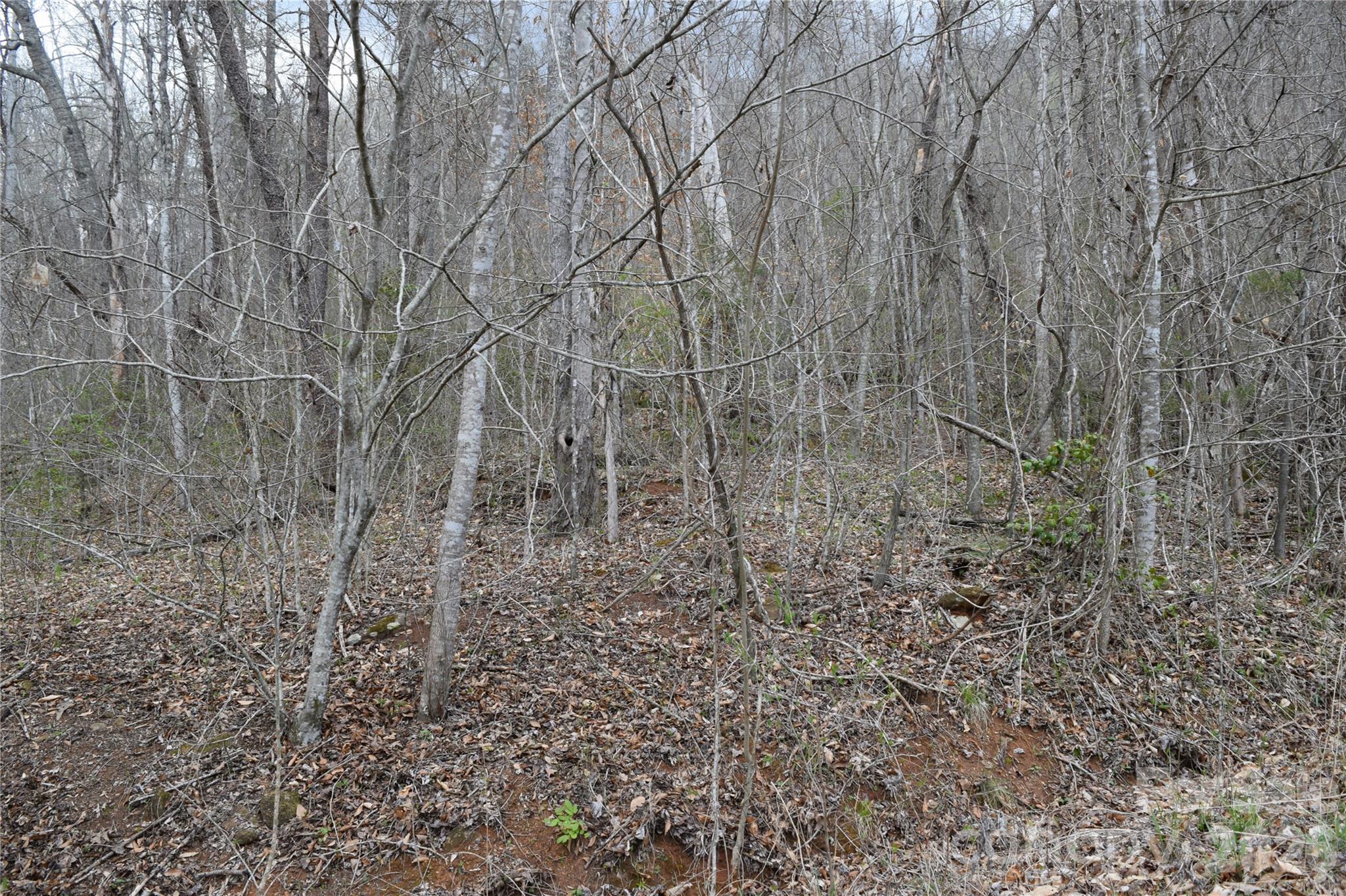 Tbd Bel Air Road Cullowhee NC 28723