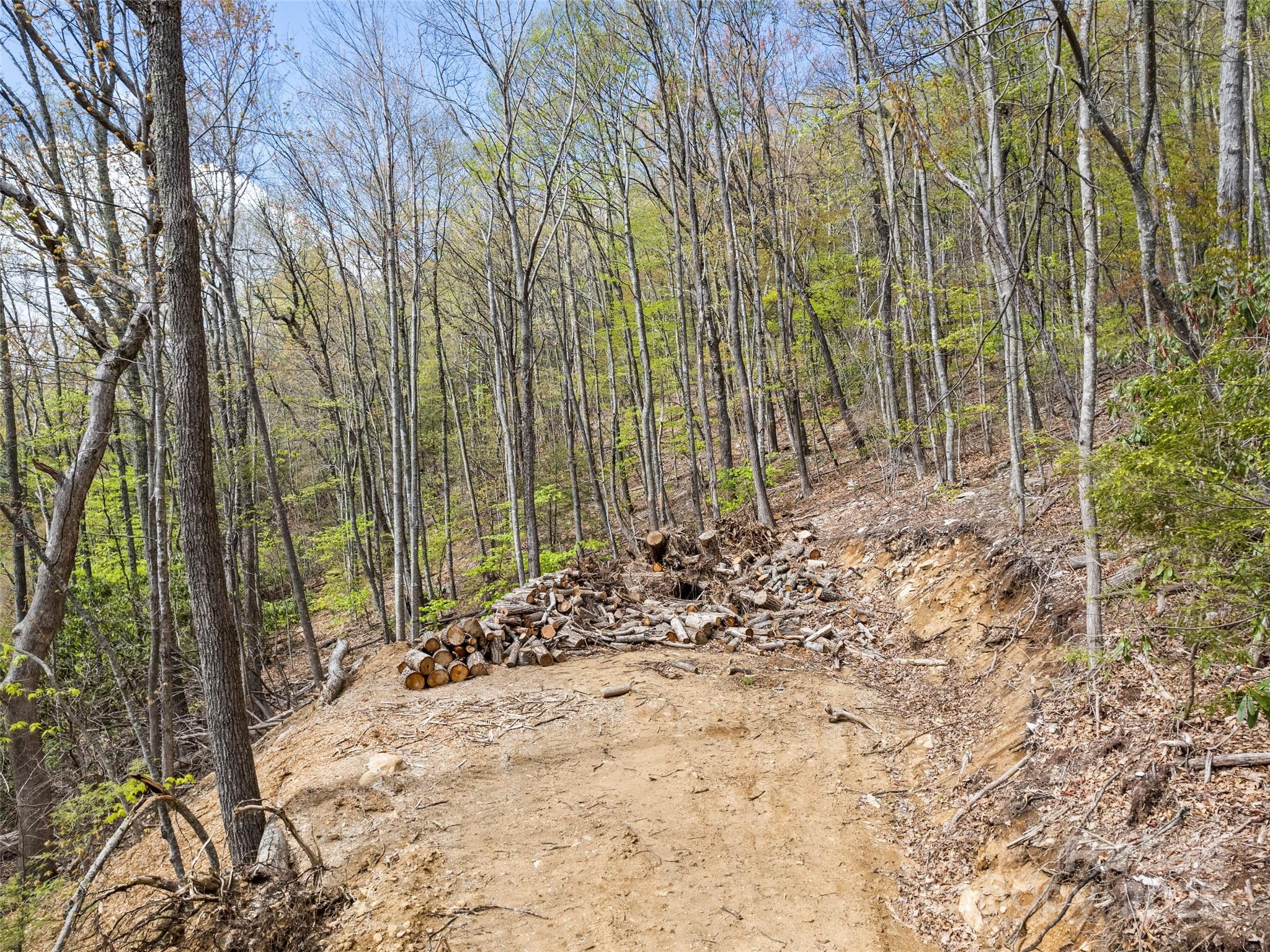 Lot G-44 Odalu Trail Maggie Valley NC 28751