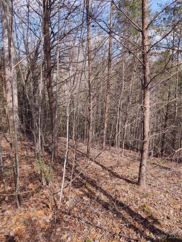 2 Riverview Forest Drive Marion NC 28752