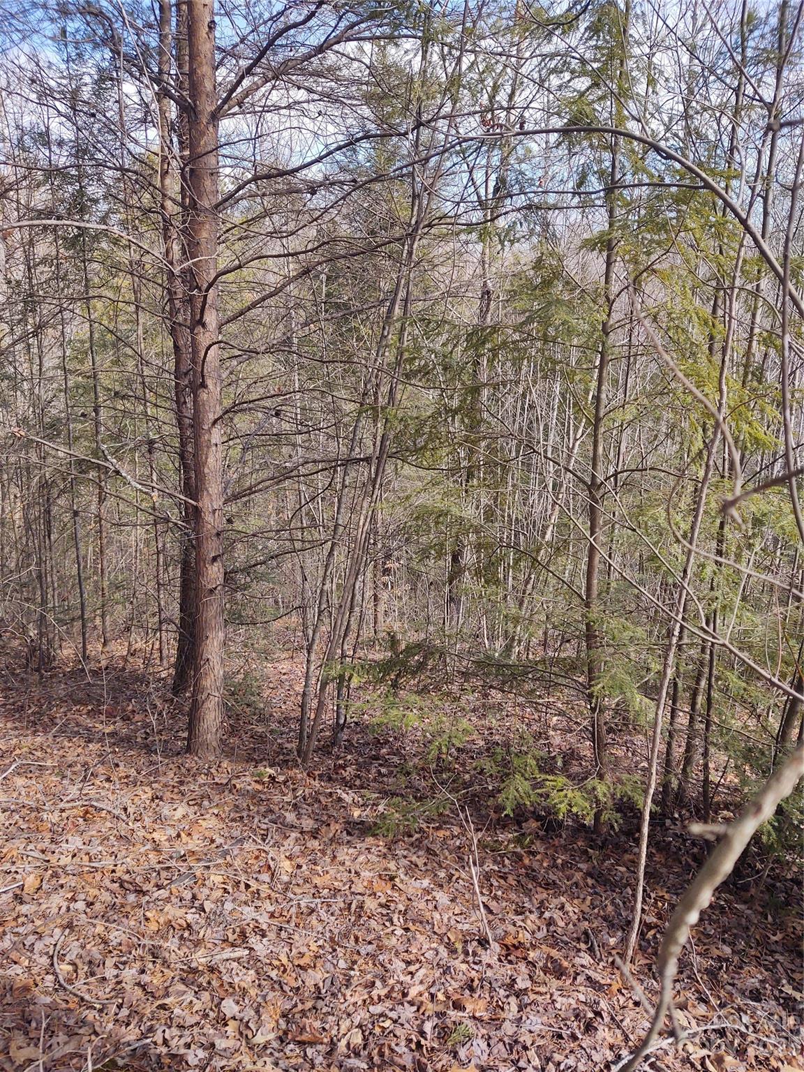 2 Riverview Forest Drive Marion NC 28752