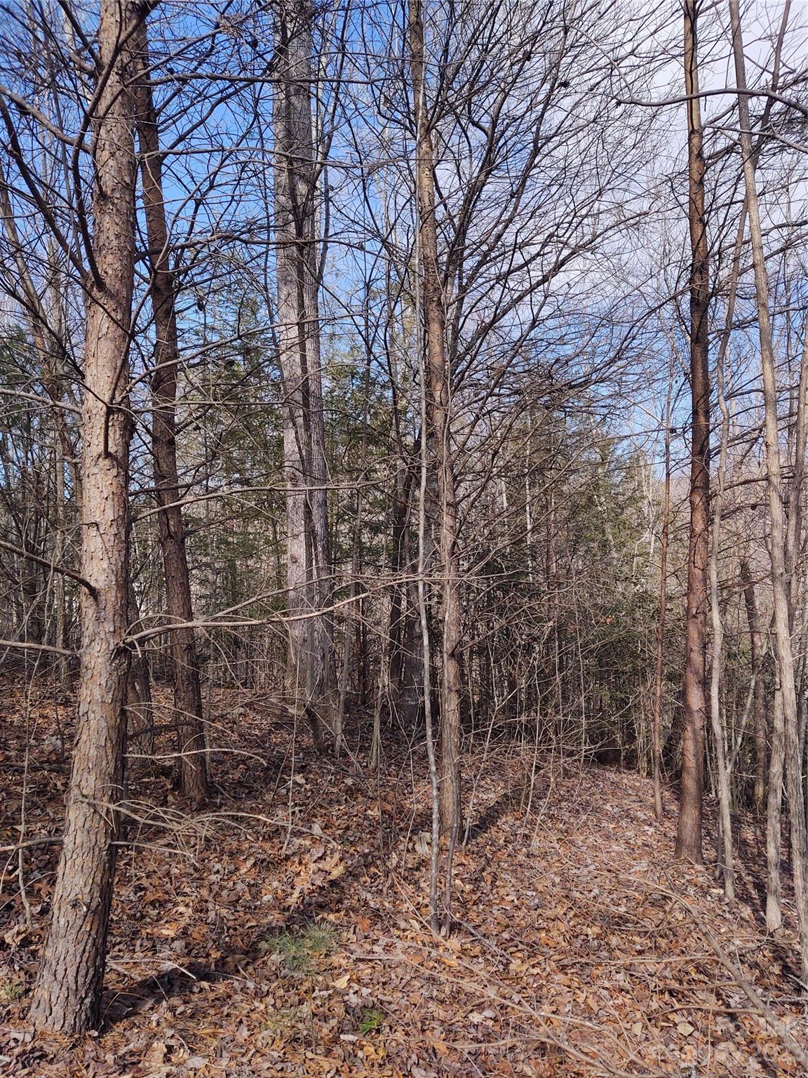 2 Riverview Forest Drive Marion NC 28752