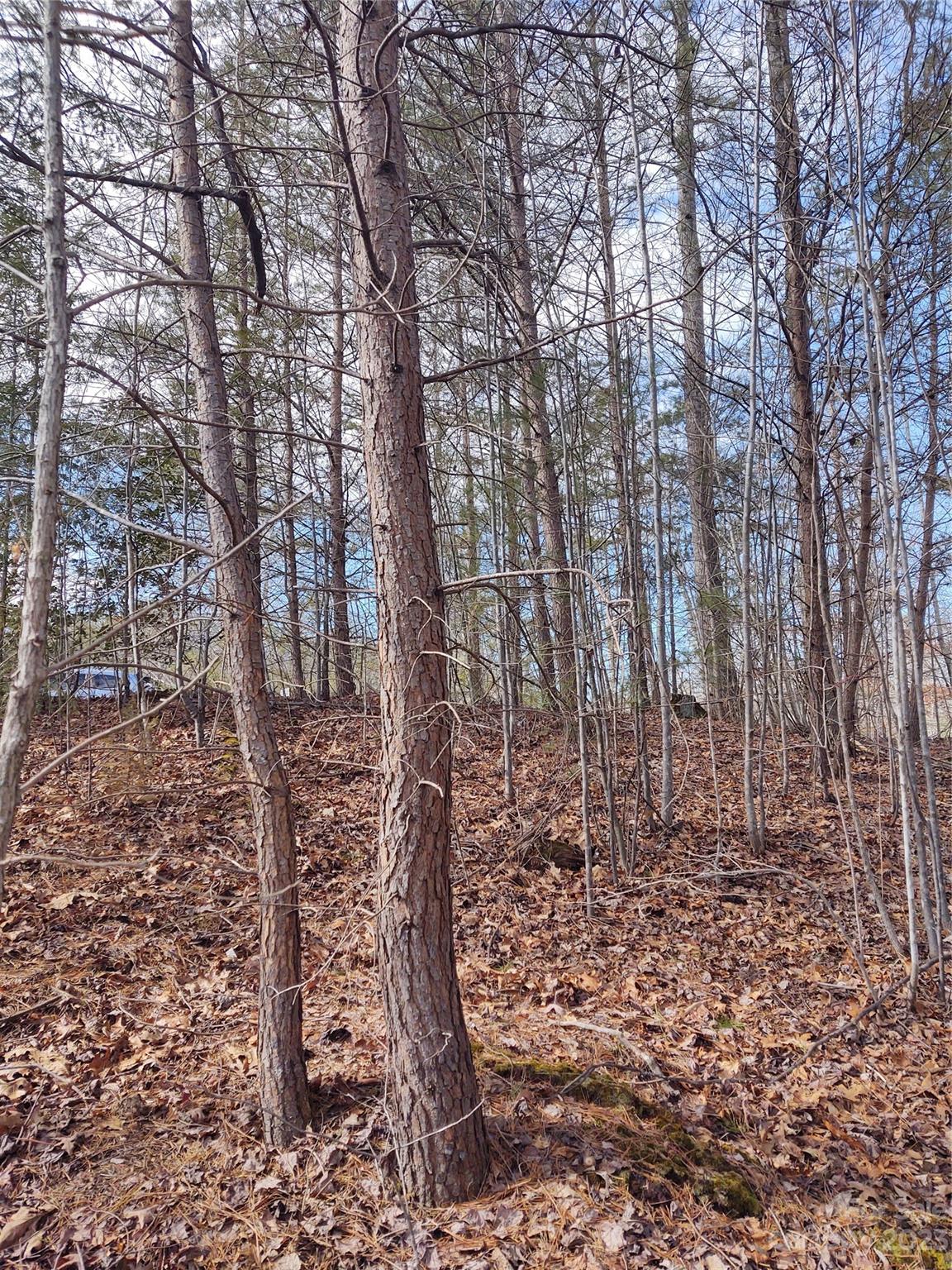 2 Riverview Forest Drive Marion NC 28752