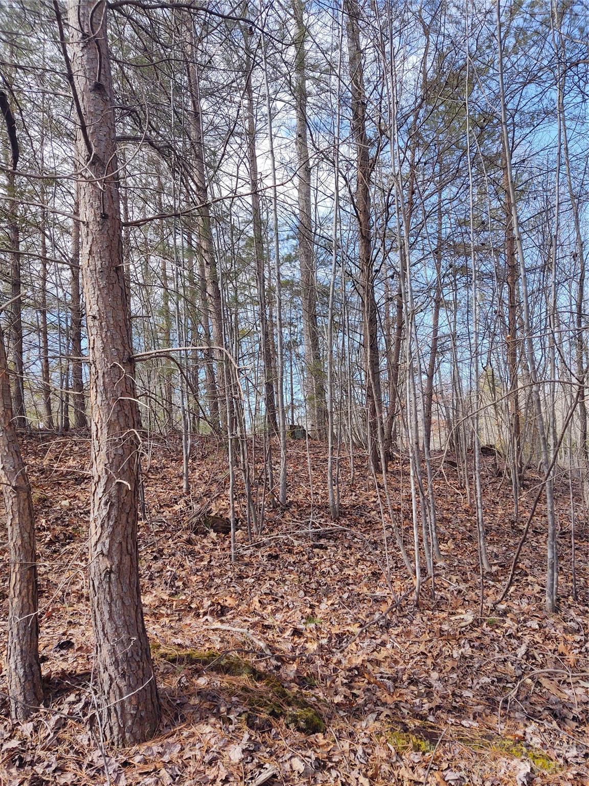 2 Riverview Forest Drive Marion NC 28752