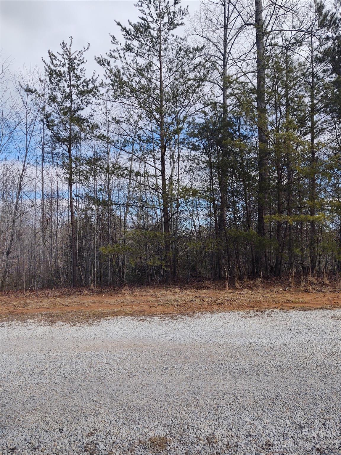 2 Riverview Forest Drive Marion NC 28752