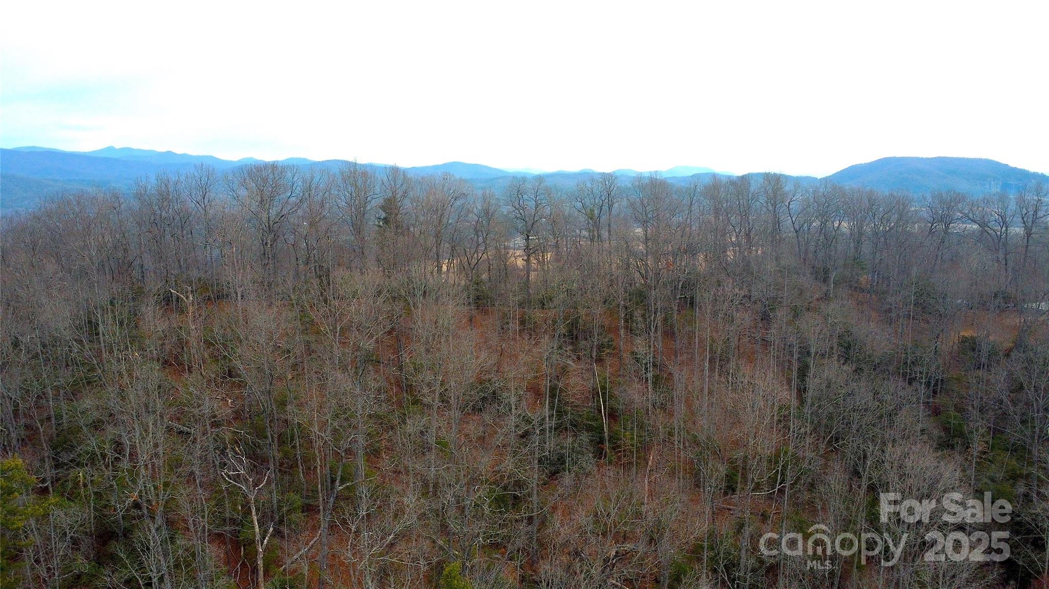 Tbd Kildrummy Drive Pisgah Forest NC 28768