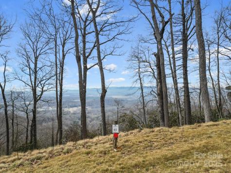 Lot 65 Featherstone Drive Fletcher NC 28732