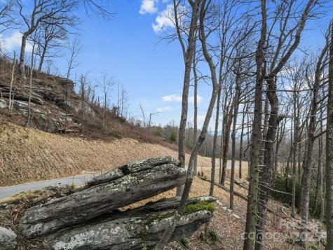 Lot 65 Featherstone Drive Fletcher NC 28732