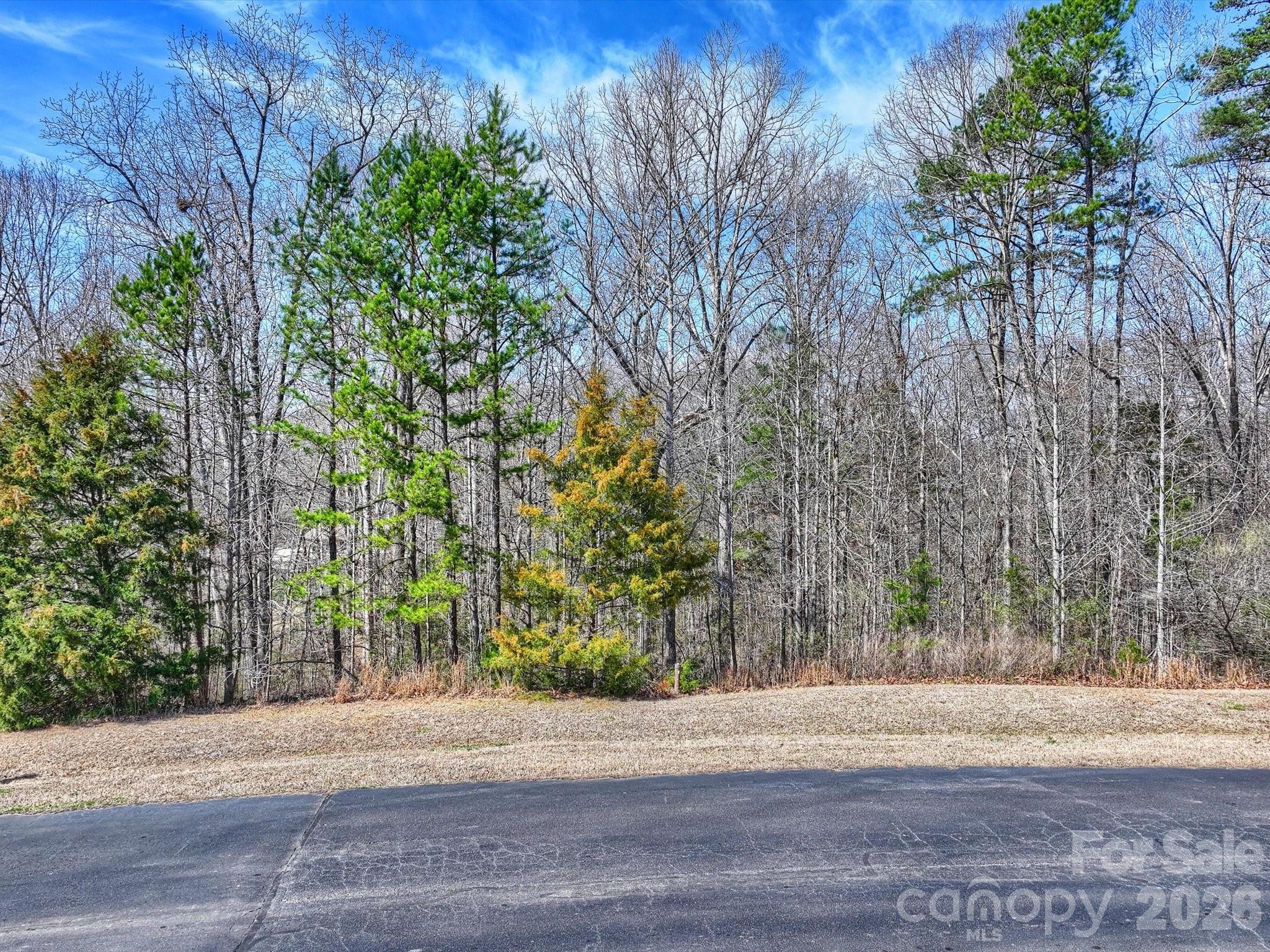 7316 Barrington Ridge Drive Fort Mill SC 29707