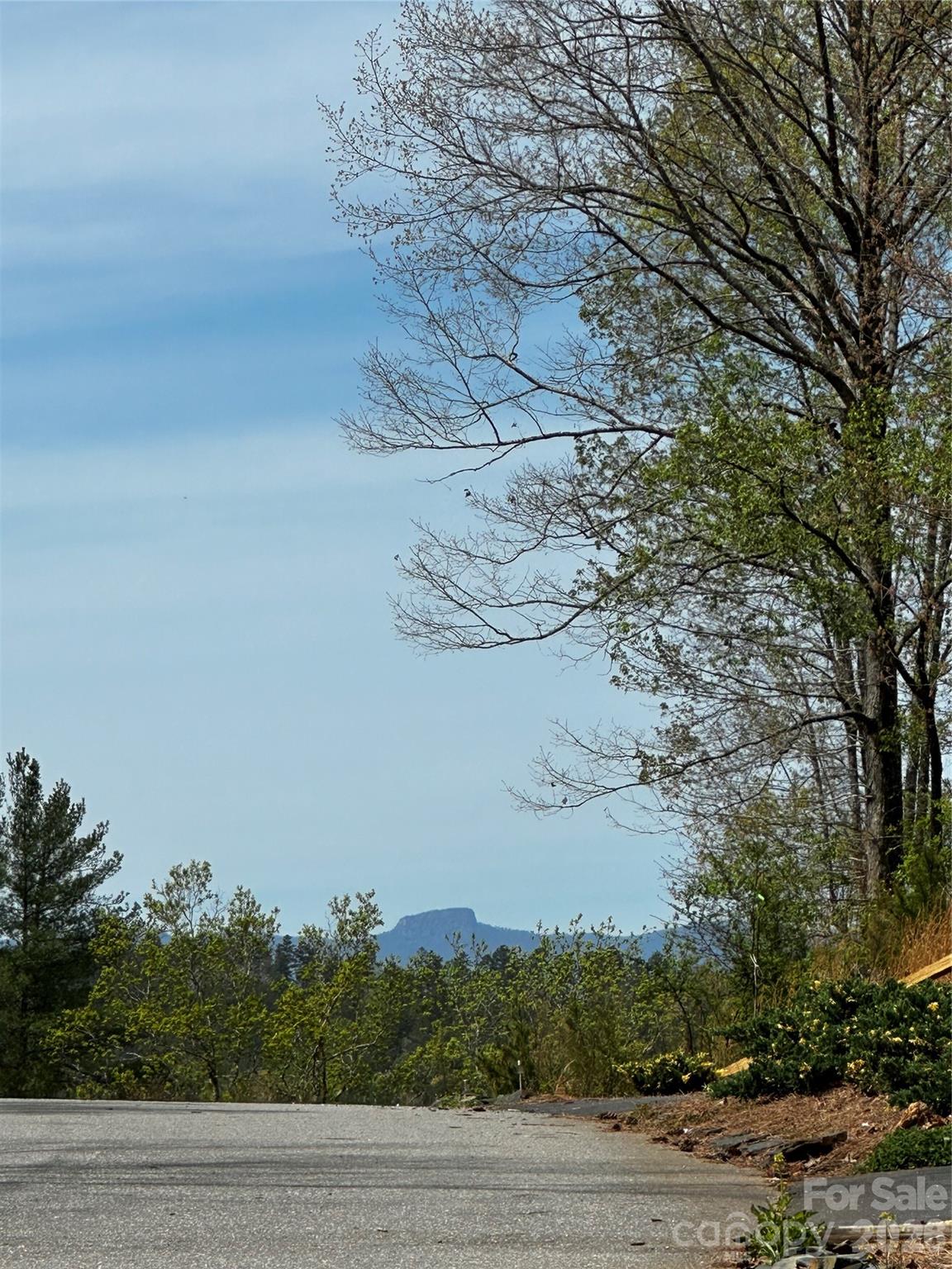 3202 Bear Paw Avenue NW Valdese NC 28690