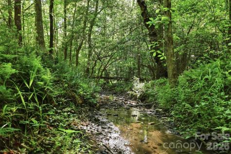 00 Black Oak Ridge Road Taylorsville NC 28681