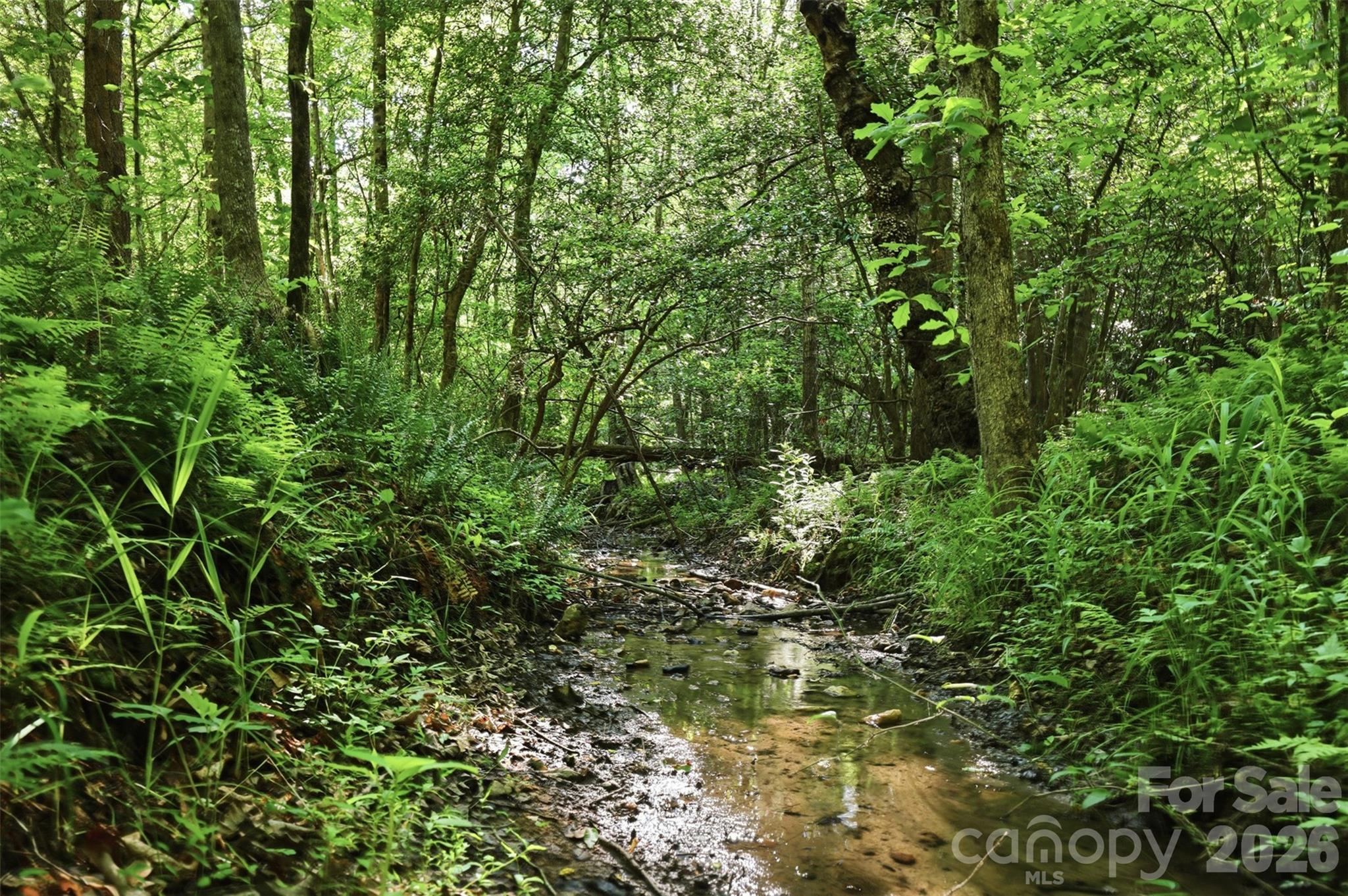 00 Black Oak Ridge Road Taylorsville NC 28681