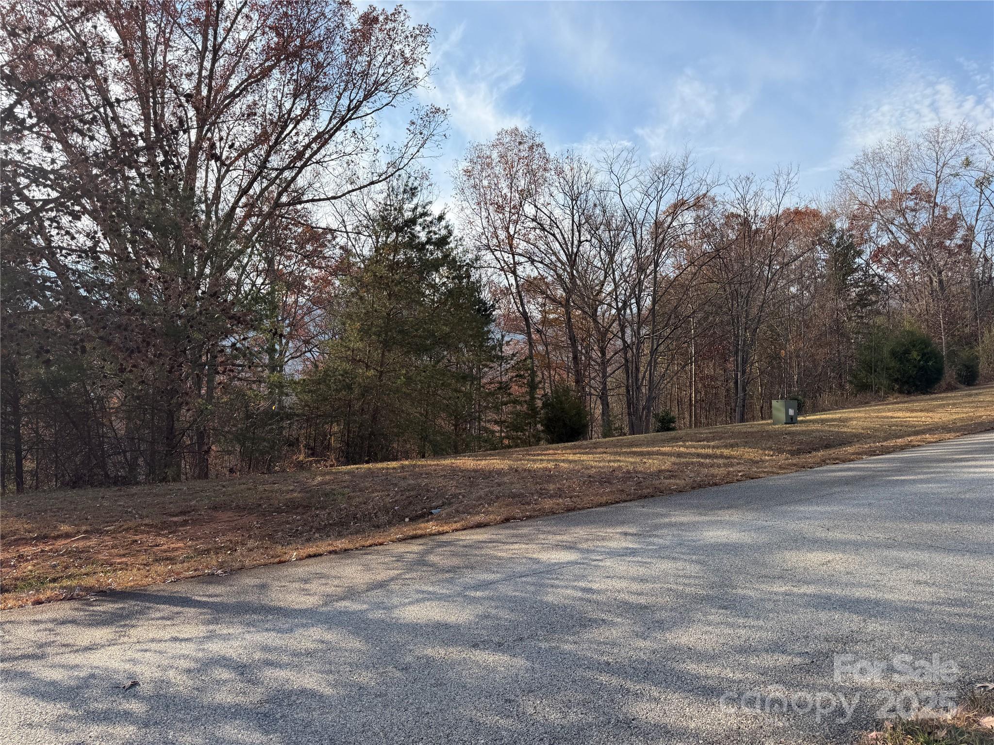 0 Chestertown Drive Mill Spring NC 28756