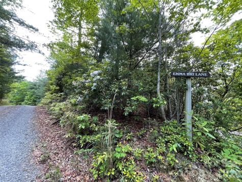 72 Emma Bri Lane Penrose NC 28766