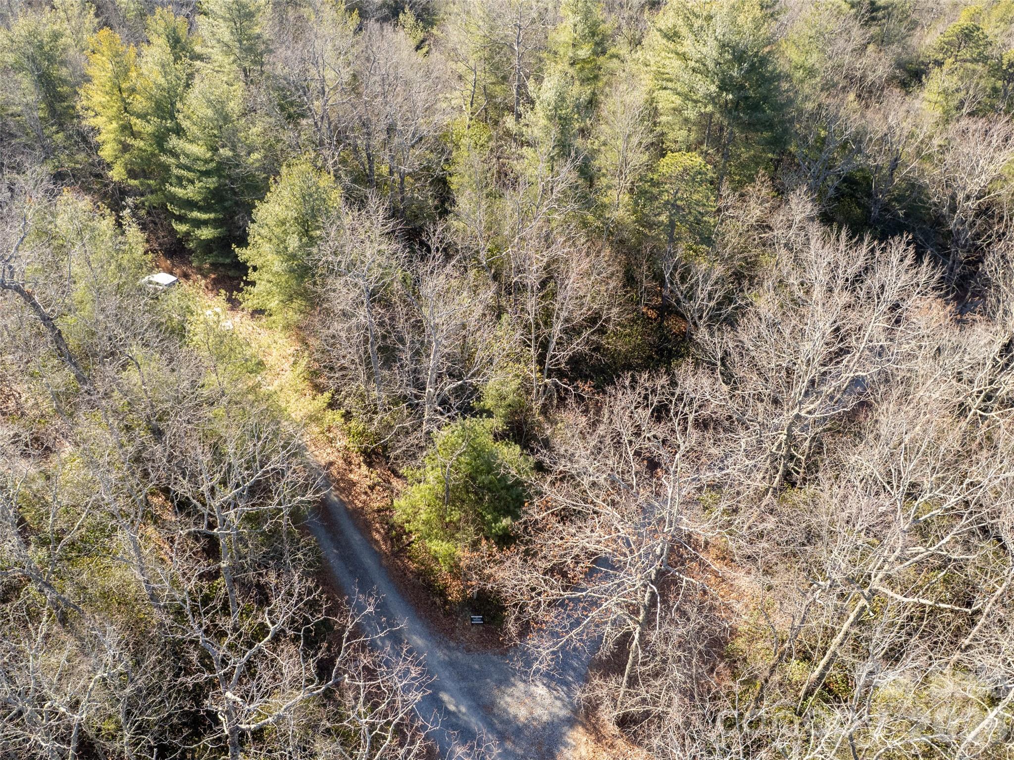 72 Emma Bri Lane Penrose NC 28766