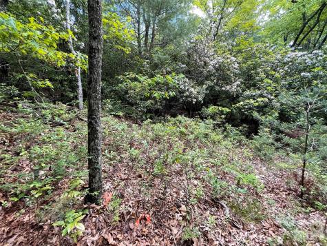 72 Emma Bri Lane Penrose NC 28766