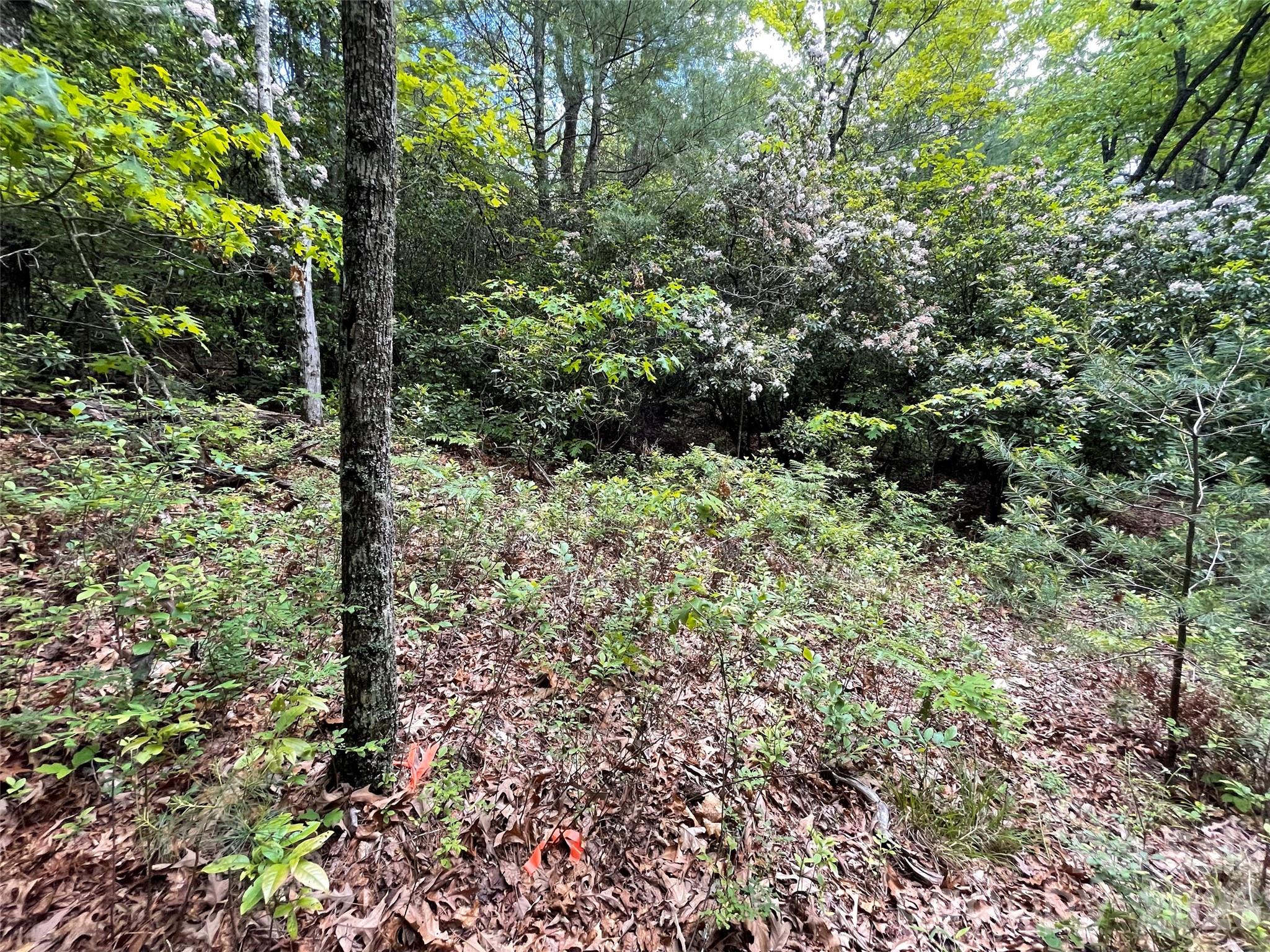 72 Emma Bri Lane Penrose NC 28766