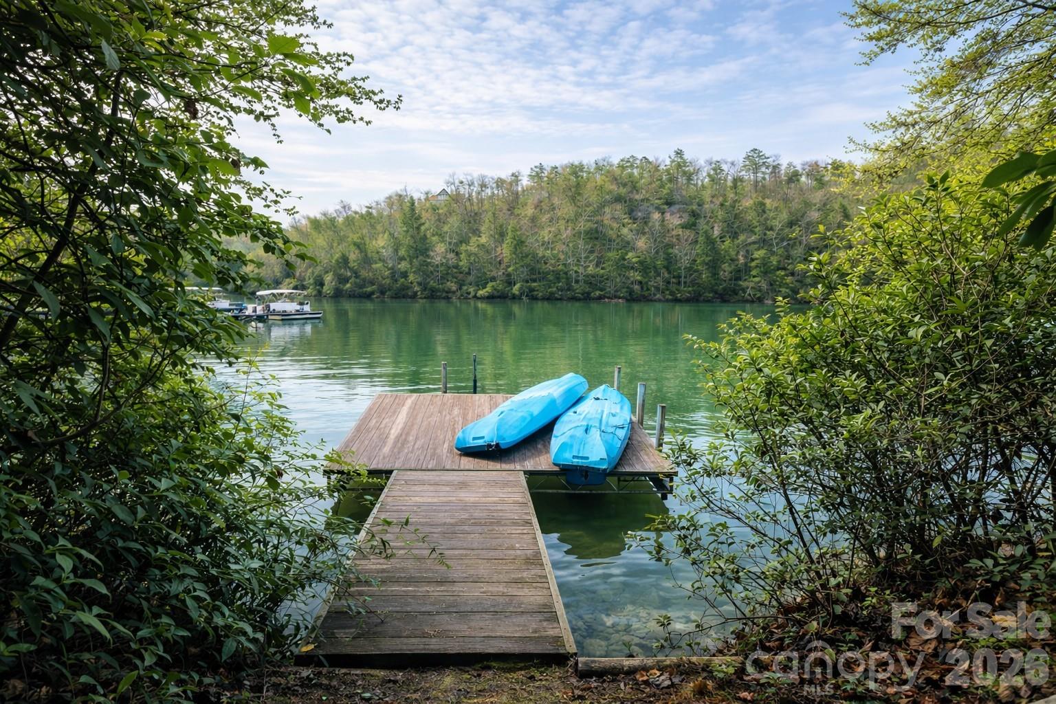 00 Lake Adger Parkway Mill Spring NC 28756