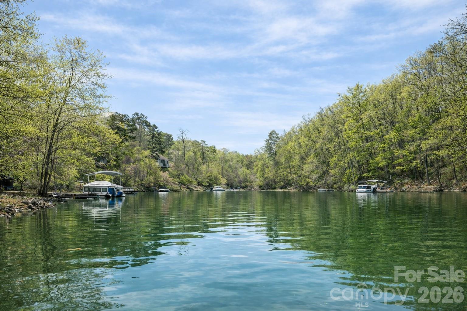 00 Lake Adger Parkway Mill Spring NC 28756