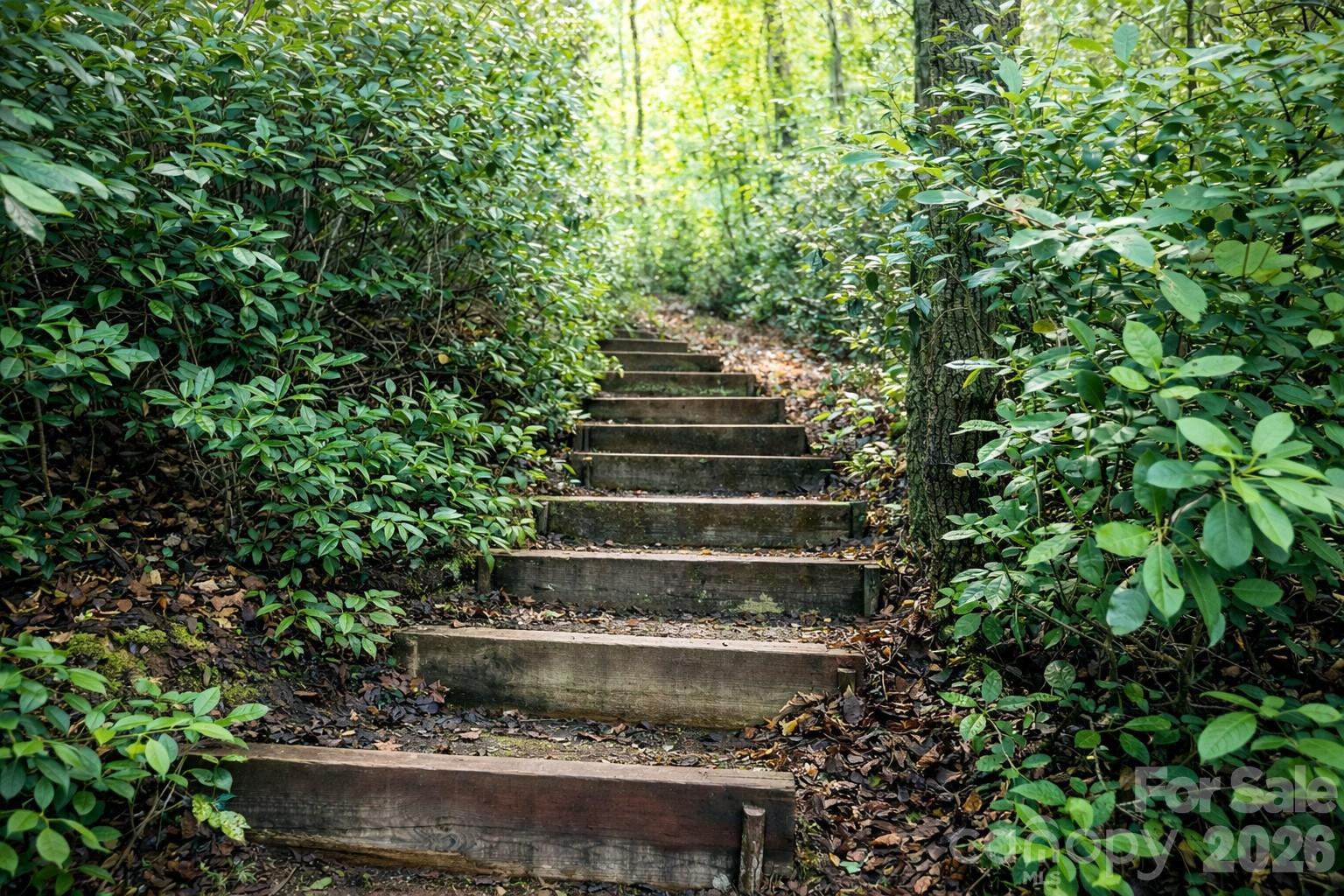 00 Lake Adger Parkway Mill Spring NC 28756