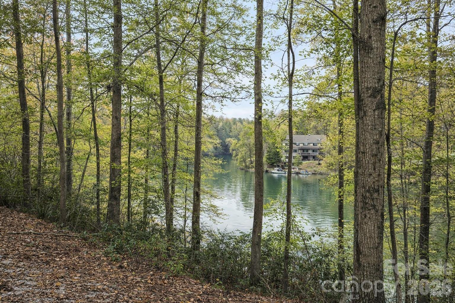 00 Lake Adger Parkway Mill Spring NC 28756