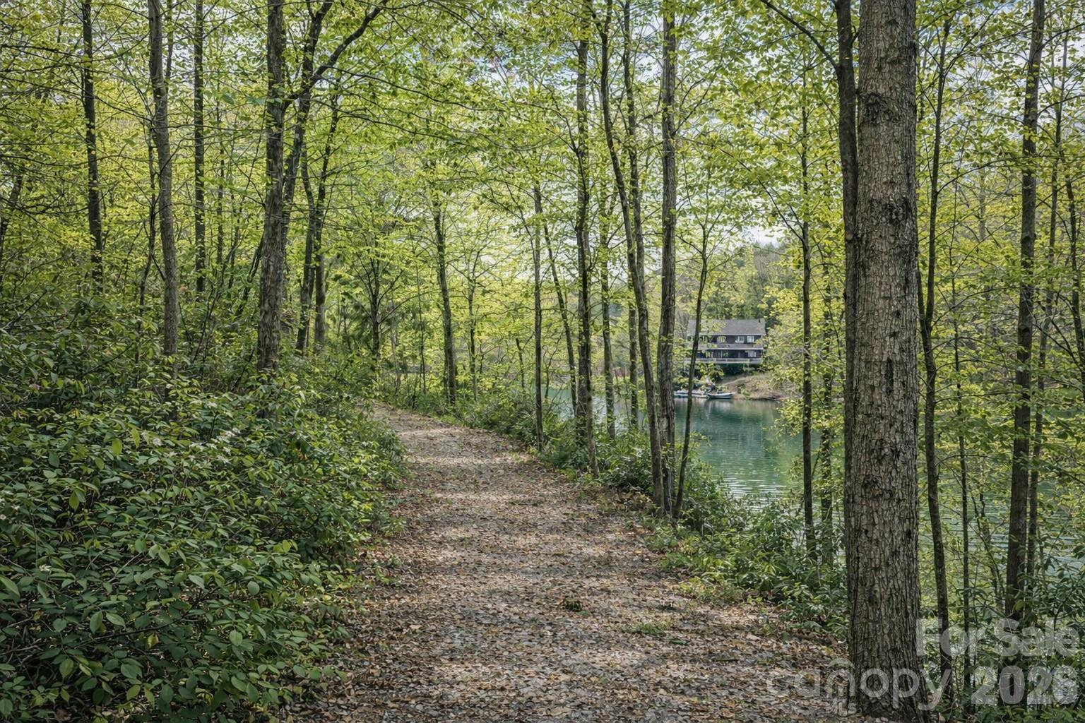 00 Lake Adger Parkway Mill Spring NC 28756